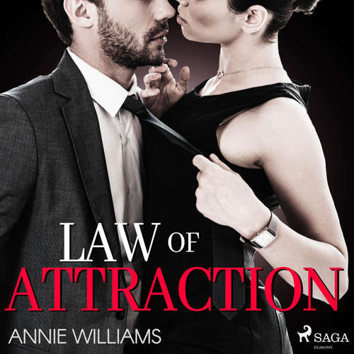 Hoerbuch Law of Attraction - Annie Williams - Sandra Voss