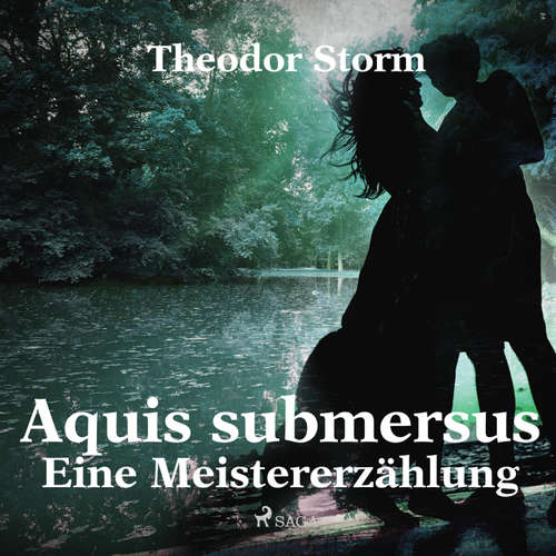 Hoerbuch Aquis submersus - Eine Meistererzählung (Ungekürzt) - Theodor Storm - Klaus Dieter König