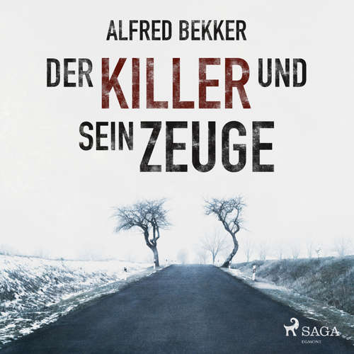 Hoerbuch Der Killer und sein Zeuge (Ungekürzt) - Alfred Bekker - Markus Raab