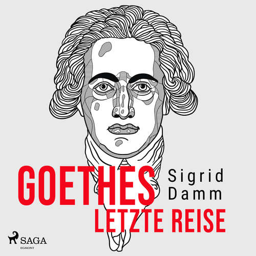 Hoerbuch Goethes letzte Reise - Sigrid Damm - Hartmut Schories