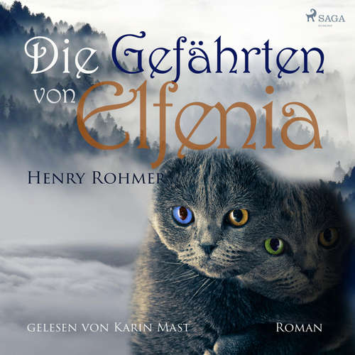 Hoerbuch Die Gefährten von Elfenia (Ungekürzt) - Henry Rohmer - Karin Mast