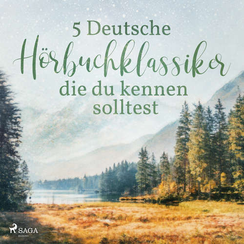 Hoerbuch 5 Deutsche Hörbuchklassiker, die du kennen solltest - Theodor Storm - Michael Wilhelm Noss