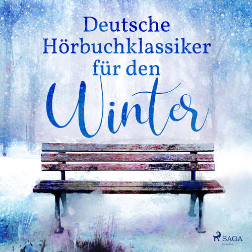 Hoerbuch 7 deutsche Klassiker für den Winter - Theodor Storm - Klaus-Dieter König