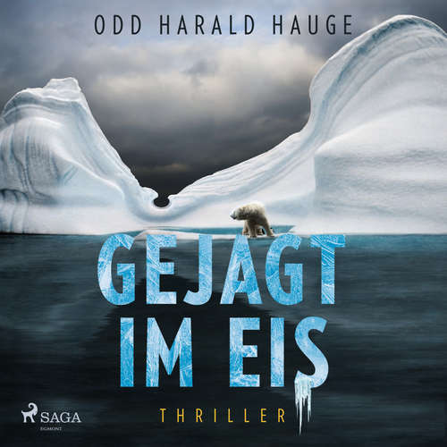 Hoerbuch Gejagt im Eis - Thriller - Odd Harald Hauge - Sebastian Dunkelberg