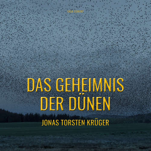 Hoerbuch Das Geheimnis der Dünen - Gefährliche Ferien auf Norderney - Jonas Torsten Krüger - Cathrin Bürger