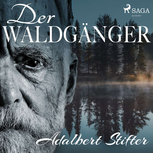 Hoerbuch Der Waldgänger - Adalbert Stifter - Peter Simonischek
