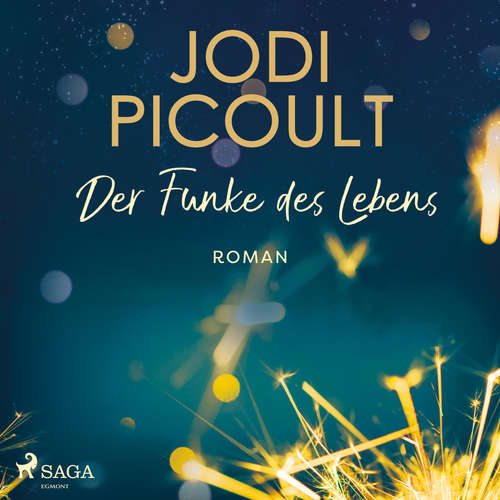 Hoerbuch Der Funke des Lebens - Jodi Picoult - Beate Rysopp