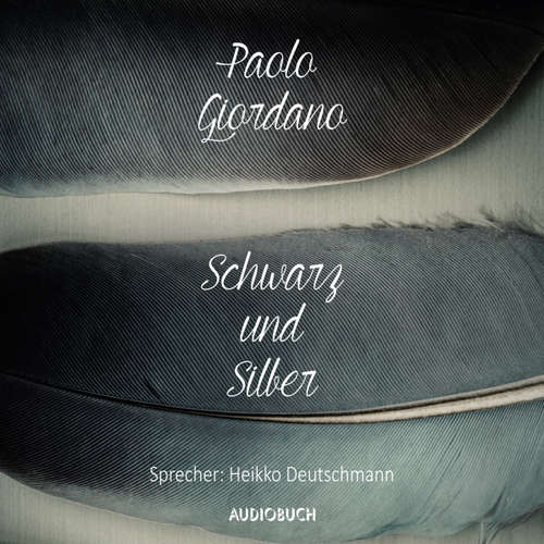 Hoerbuch Schwarz und Silber - Paolo Giordano - Heikko Deutschmann