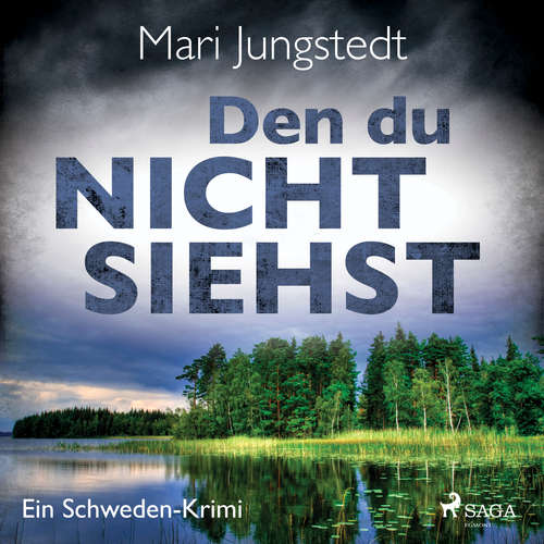 Hoerbuch Den du nicht siehst - Ein Schweden-Krimi - Mari Jungstedt - Wolfgang Berger