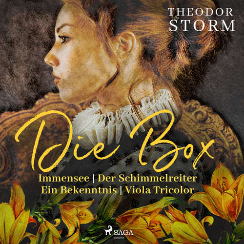 Hoerbuch Theodor Storm. Die Box: Immensee | Der Schimmelreiter | Ein Bekenntnis | Viola Tricolor - Theodor Storm - Michael Wilhelm Noss