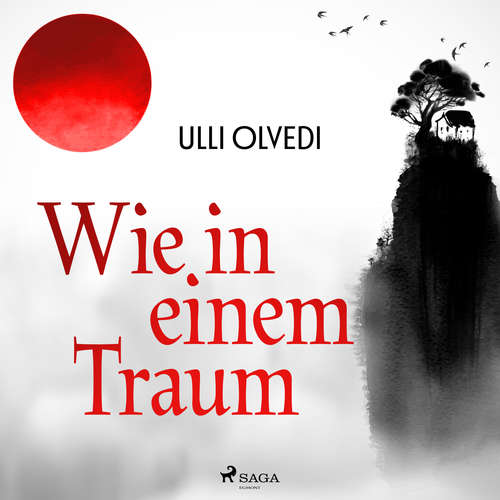 Hoerbuch Wie in einem Traum - Ulli Olvedi - Anne Fink