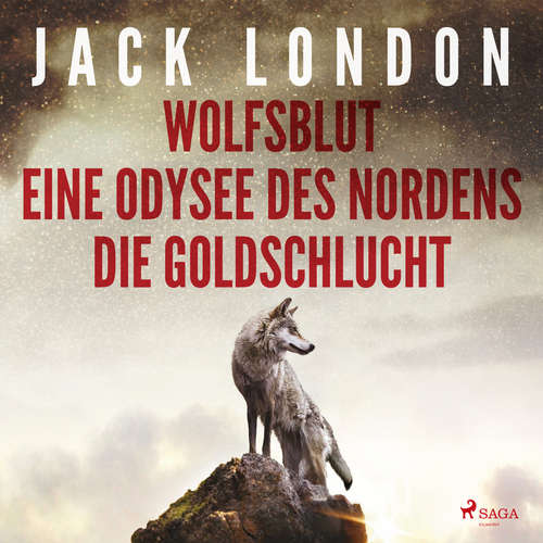 Hoerbuch Klassiker to go: Jack London: Wolfsblut, Die Goldschlucht, Eine Odysee des Nordens - Jack London - Fred C. Siebeck