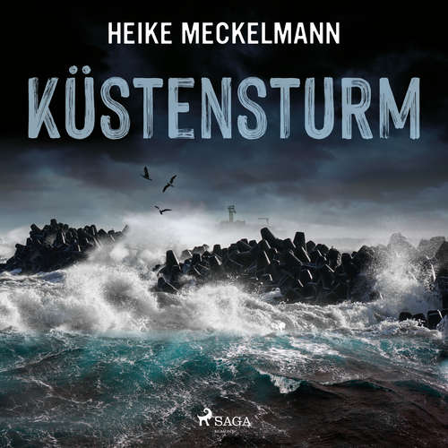 Hoerbuch Küstensturm: Fehmarn-Krimi (Kommissare Westermann und Hartwig 6) - Heike Meckelmann - Bert Stevens
