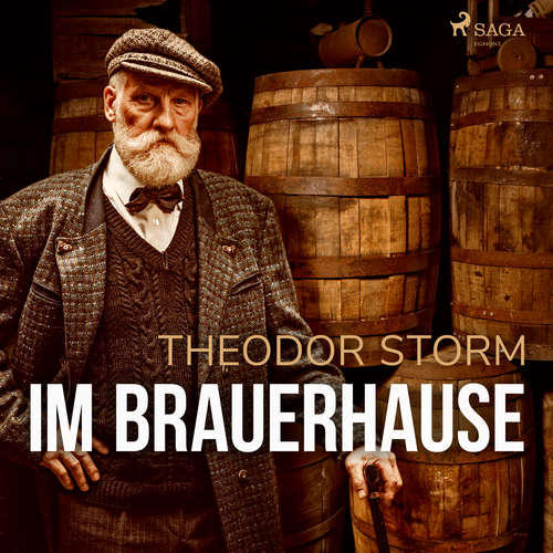 Hoerbuch Im Brauerhause - Theodor Storm - Manfred Callsen