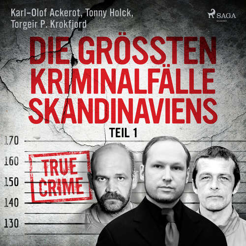 Hoerbuch Die größten Kriminalfälle Skandinaviens - Teil 1 - Tonny Holk - Ben Bela Böhm
