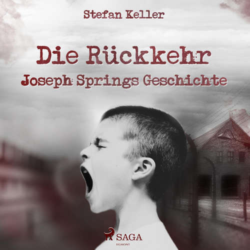 Hoerbuch Die Rückkehr - Joseph Springs Geschichte (Ungekürzt) - Stefan Keller - Peter Tabatt