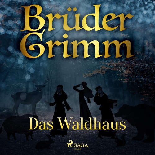 Hoerbuch Das Waldhaus - Brüder Grimm - Reiner Unglaub
