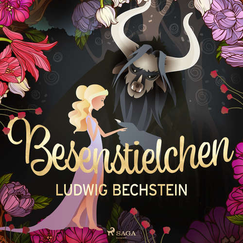 Hoerbuch Besenstielchen - Ludwig Bechstein - Friedrich Schoenfelder