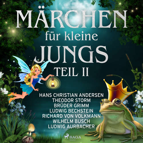 Hoerbuch Märchen für kleine Jungs II - Hans Christian Andersen - Friedrich Schoenfelder