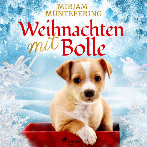 Hoerbuch Weihnachten mit Bolle - Mirjam Müntefering - Juliane Fechner