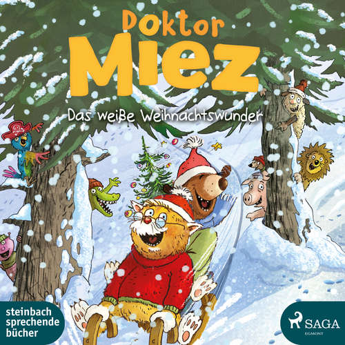 Hoerbuch Doktor Miez – Das weiße Weihnachtswunder - Walko - Stefan Wilkening