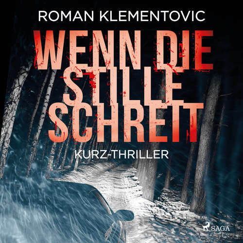 Hoerbuch Wenn die Stille schreit - Roman Klementovic - Kris Köhler
