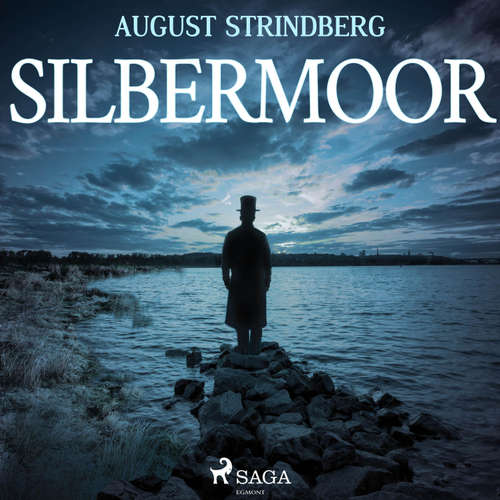 Hoerbuch Das Silbermoor (Ungekürzt) - August Strindberg - Ronny Great