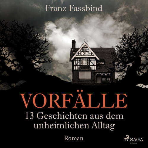 Hoerbuch Vorfälle. 13 Geschichten aus dem unheimlichen Alltag (Ungekürzt) - Franz Fassbind - Waldemar Müller