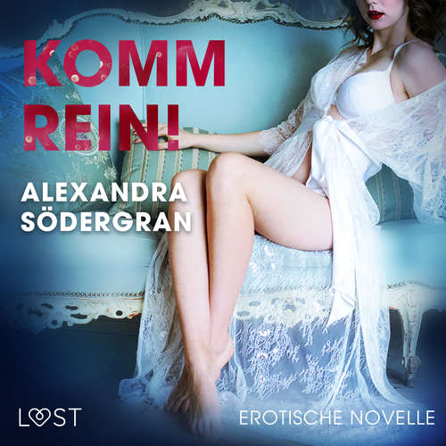 Hoerbuch Komm rein! Erotische Novelle - Alexandra Södergran - Helene Hagen
