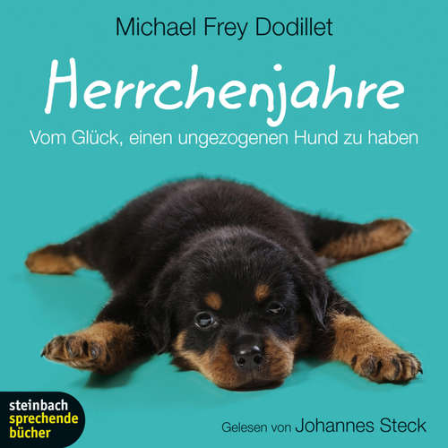 Hoerbuch Herrchenjahre - Vom Glück, einen ungezogenen Hund zu haben (Gekürzt) - Michael Frey Dodillet - Johannes Steck