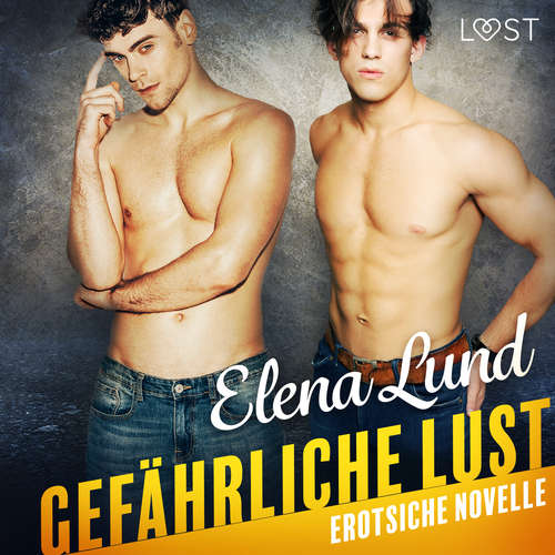 Hoerbuch Gefährliche Lust - Erotische Novelle - Elena Lund - Helene Hagen