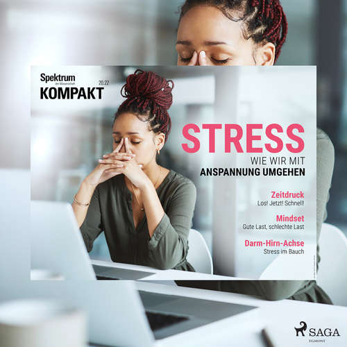 Hoerbuch Spektrum Kompakt: Stress - Wie wir mit Anspannung umgehen - Spektrum Kompakt - Simone Terbrack
