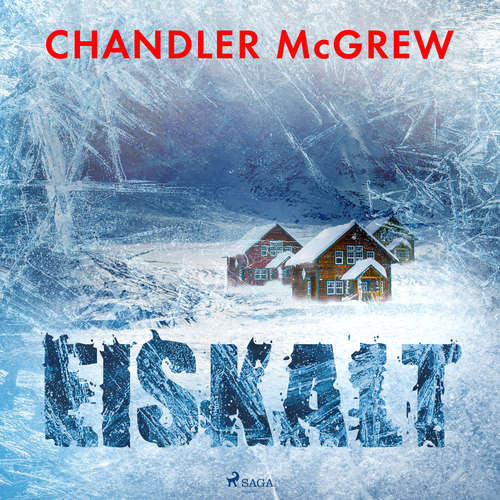 Hoerbuch Eiskalt - Chandler McGrew - Ari Gosch