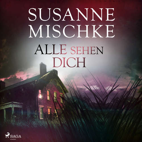 Hoerbuch Alle sehen dich (Hannover-Krimis, Band 12) - Susanne Mischke - Matthias Hinz