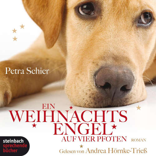 Hoerbuch Ein Weihnachtsengel auf vier Pfoten (Gekürzt) - Petra Schier - Andrea Hörnke Trieß