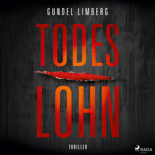 Hoerbuch Todeslohn: Thriller - Gundel Limberg - Sebastian Seidel