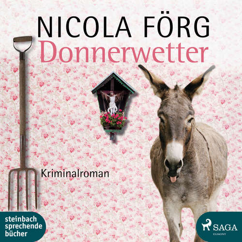Hoerbuch Donnerwetter - Ein Allgäu-Krimi - Nicola Förg - Hans Jürgen Stockerl
