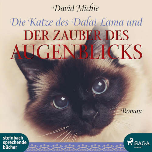 Hoerbuch Die Katze des Dalai Lama und der Zauber des Augenblicks (Ungekürzt) - David Michie - Beate Rysopp