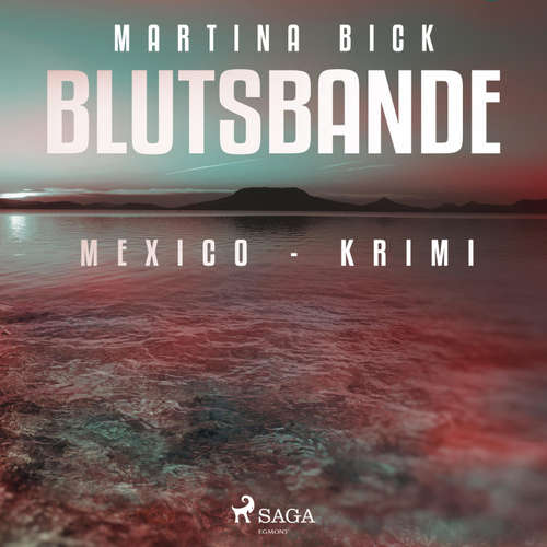Hoerbuch Blutsbande - Mexico-Krimi (Ungekürzt) - Martina Bick - Nicole Hirschmann