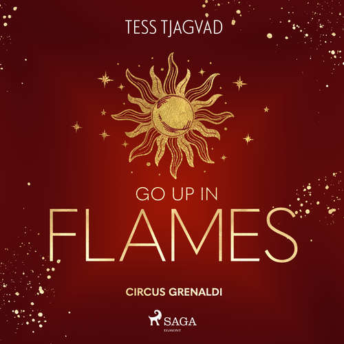 Hoerbuch Go up in Flames - Tess Tjagvad - Magnus Rook