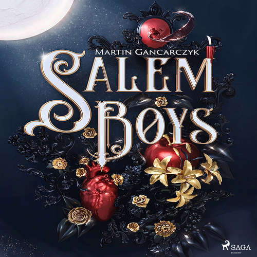 Hoerbuch Salem Boys - Martin Gancarczyk - Magnus Rook