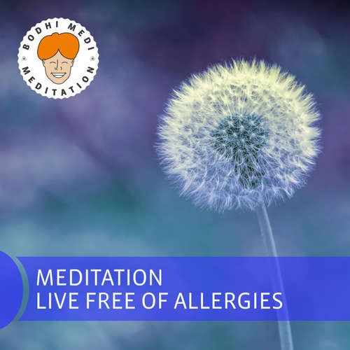 Audiobook Meditation Live Free of Allergies - Ralph Engeler - Joanne Engeler