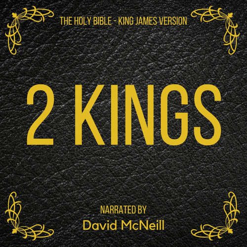 Audiobook The Holy Bible - 2 Kings - King James - David McNeill