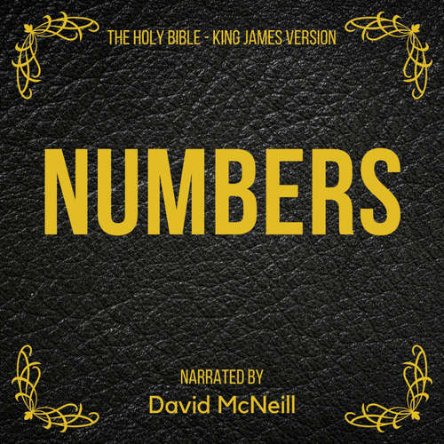 Audiobook The Holy Bible - Numbers - King James - David McNeill