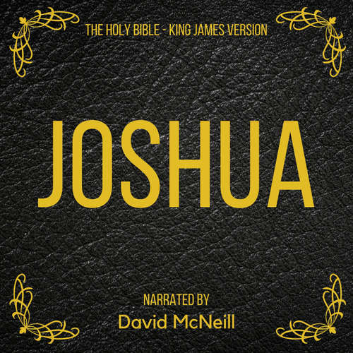 Audiobook The Holy Bible - Joshua - King James - David McNeill