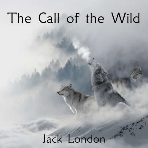 Audiobook The Call of the Wild - Jack London - Phil Chenevert
