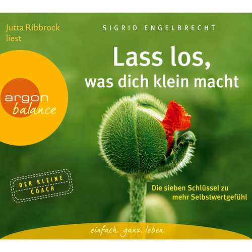Lass los, was dich klein macht - Die sieben Schlüssel zu mehr Selbstwertgefühl