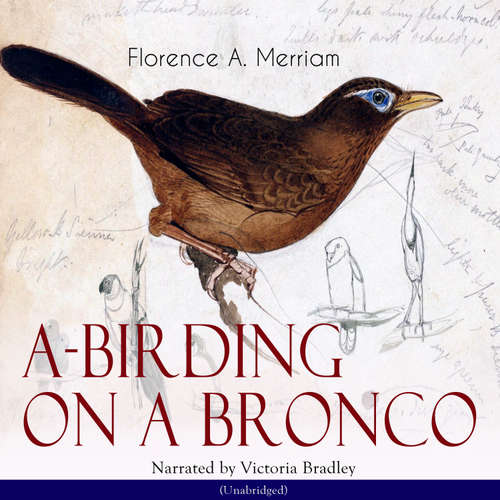 Audiobook A-Birding on a Bronco - Florence A. Merriam - Victoria Bradley