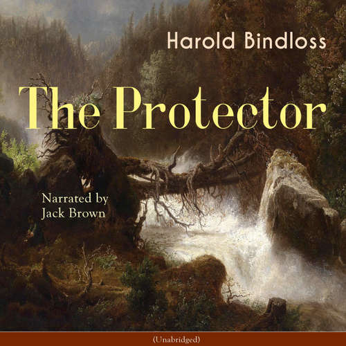 Audiobook The Protector - Harold Bindloss - Jack Brown