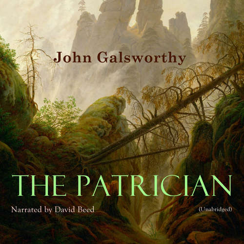 Audiobook The Patrician - John Galsworthy - David Beed